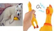 Brinquedo para Cão e outros Animais